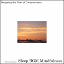 Sleep BGM Mindfulness - Exploring Inner Dimensions with Nature's Healing Sounds for Rest