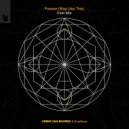 Armin van Buuren & Goodboys - Forever (Stay Like This)