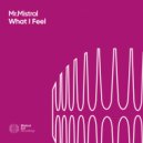 Mr.Mistral - What I Feel (Original Mix)