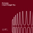 Mr Andre - I Can't Forget You