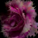 Cynthia Spiering - Who's Crying Now