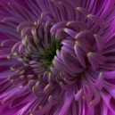 Atilla The Hvn - Oyna (Cynthia Spiering Remix)