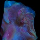 Laura Van Hal - Halon