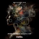 Spacefunk Dub - Street Player