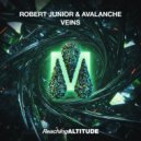 Robert Junior & AvAlanche - Veins (Extended Mix)