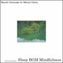 Sleep BGM Mindfulness - Whispers of Peaceful Nights Fused with Inner Healing