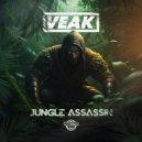 Veak - Jungle Assassin (Vinyl Junkie & Sanxion Remix)