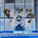 Baltra - Gentle Tone ()