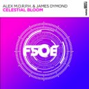 Alex M.O.R.P.H., James Dymond - Celestial Bloom