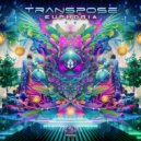 Transpose (CA) - Euphoria (Original Mix)