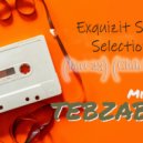 Tebzaboy - Exquizit Sound Selectionz (Par ()