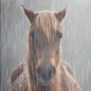 GO REAL A - Молчишь ()