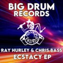 Ray Hurley & Chris Bass - Ecstacy (The Unmentionable Dub)
