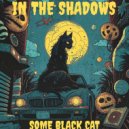 Some Black Cat - In the Shadows