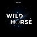 Deep State - Wild Horse ()