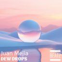 Juan Mejia - Dew Drops (Original Mix)