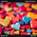 Lush Djs - How To Love (Original Mix)