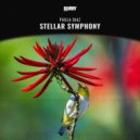 Paula Diaz - Sounds Of Universe (Original Mix)