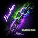 Cafe 432 feat. Janine Dyer - Freedom (Neil Pierce Dub Remix)