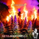 Neto Martinelli - Chama Revolta