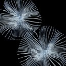 BOg - Daft Skunk (Original Mix)