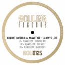 Nishant Bardoloi & AnAmStyle - Always Love (Radio Edit)