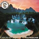 Carles Dj - Vão Trabalhar (Original Mix)