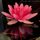 Converted Specifications - Warm Contemplation