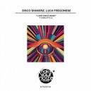 Disco Shakerz & Luca Fregonese Ft. Charlotte Lil - I Love Disco Music (Disco Mix)
