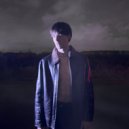 wildddame - Полмиллиона ()