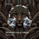 Ertan Koculu, Y.Brain - Damy On Grr (Original Mix)