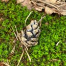 Eternal Meadows - The Day Learns to Breathe (Ambient Version)