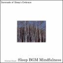 Sleep BGM Mindfulness - Healing Harmonics Rise Above the Noise of Sleep Disruptions