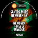 Sandro Mure - Invader
