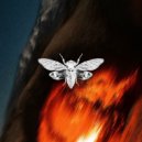 Fran Fernandez - Shadows (Original Mix)