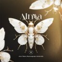 Amir Telem & Smile (UA) & Rhyt - Alma (Extended Mix)