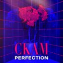 CKAM - Perfection (Original Mix)