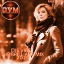 Djs Vibe - The Brilliant Mix 2025 (Rainshow)