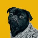 The Dog Relaxer - Serene Strolls with your Pup ()