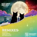 Frank Hurman & Pedro Miras & The Big Rabbit - The Amateur (The Big Rabbit Remix)