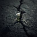 Velora Sound - The Depth of Ordinary (Original Mix)