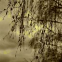 ∆lpha & bet∆ - Incorrigible (Ultra Slowed)