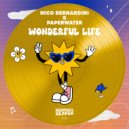 Nico Bernardini & Paperwater - Wonderful Life (Original Mix)