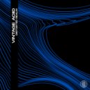 Vintage Aciid - Distorted Realm