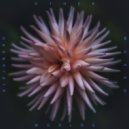 Alejandro Mosso - World 2 (Binaural)