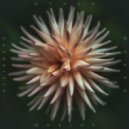 Alejandro Mosso - World 7 (Binaural)