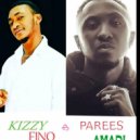 Kizzy & Parees amadi - Focus (feat. Parees amadi) ()