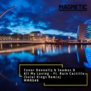 Conor Donnelly & Seamus D - All My Loving (Solar Kings Remix)