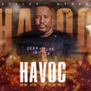 Citizen Sthee - Havoc (Groove Mix)