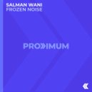 Salman Wani - Frozen Noise